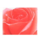 ��C02�ۥե��ࡦ�����ϡ���