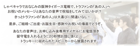 ����٥���饷�꡼�����ץ�������󡡺���������������С������