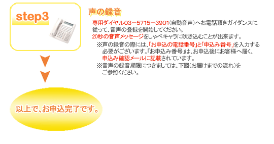 ����٥���饷�꡼�����ץ�������󡡺���������������С������