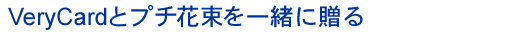 VeryCard�ȥץ���«�����£��
