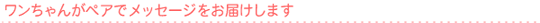 ������󤬥ڥ��ǥ�å��������Ϥ����ޤ���