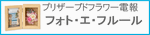 レーヴ