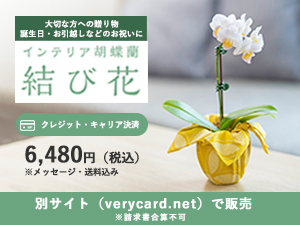本格胡蝶蘭バナー