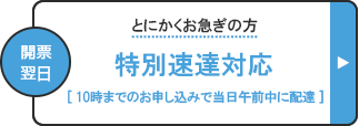 特別速達対応