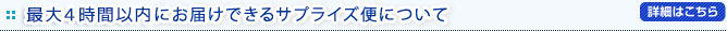 最大4時間以内にお届けできる特急！サプライズ便について